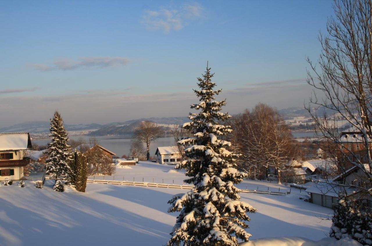 Gasthof Zur Seeburg Seekirchen am Wallersee Esterno foto